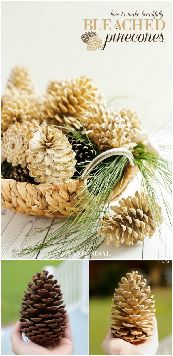 Bleached Pinecones for Decor. Tired of the natural look of pinecones in your decor? Try to bleach your pinecones for an unusual beautiful effect in home decor. 