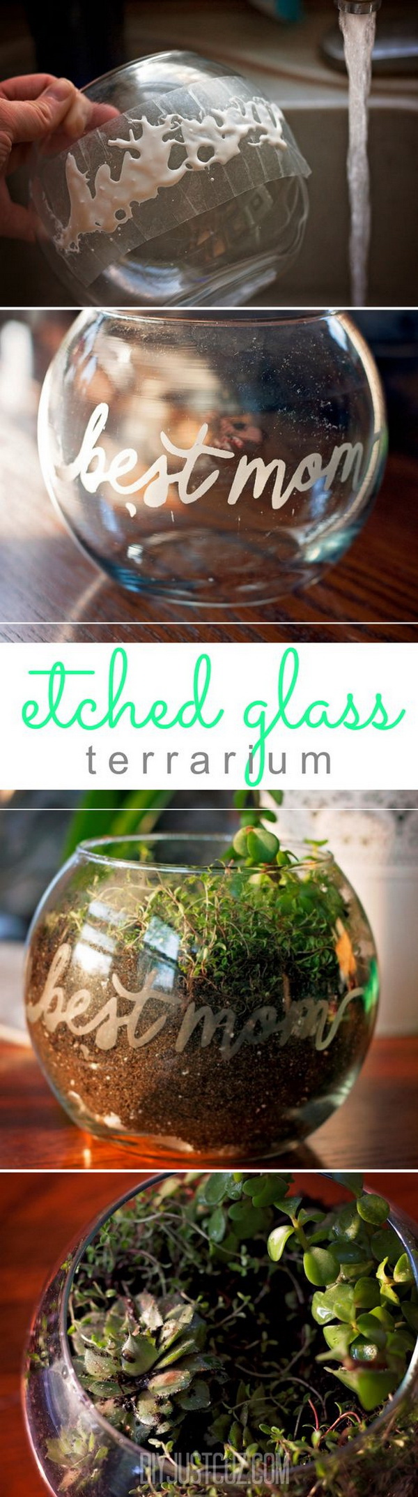 DIY terrarium Planters for Mother’s Day. Handmade, diy gifts are alway the best gifts for your mom! Here’s an etched glass terrarium made using the Silhouette Cameo for Mother’s Day. 