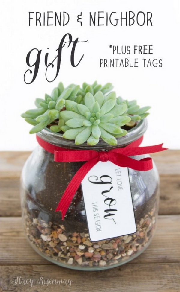 DIY Glass Planter.Quick and Inexpensive Christmas Gift Ideas for Neighbors
