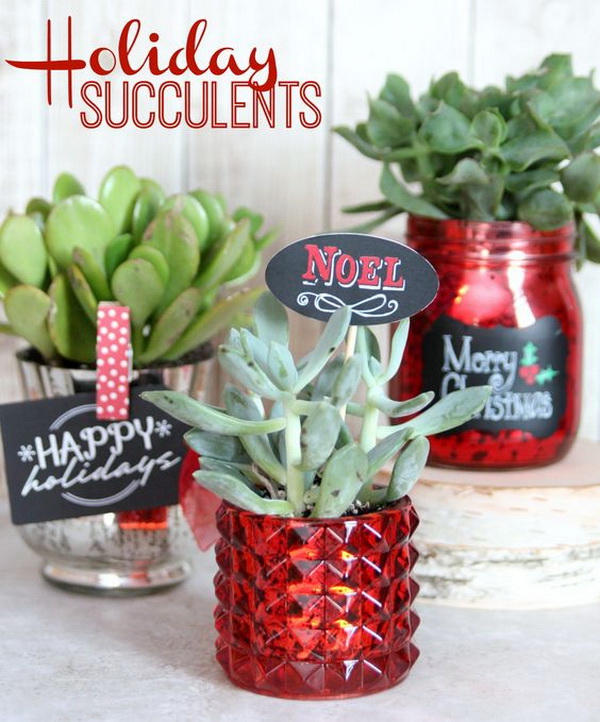 DIY Holiday Succulents。 Quick and Inexpensive Christmas Gift Ideas for Neighbors