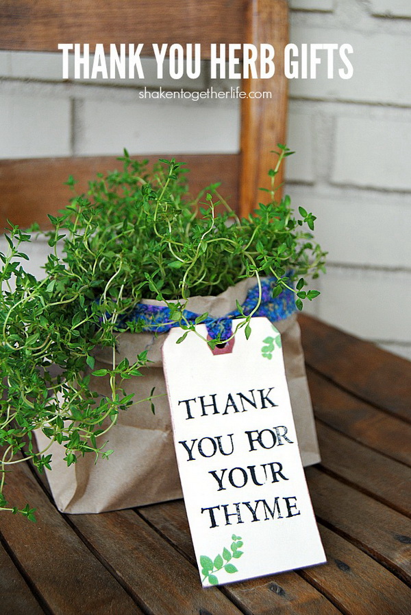 Thank You Herb Gifts. Quick and Inexpensive Christmas Gift Ideas for Neighbors