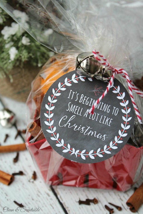 Simmering Potpourri With Printable Tag. Quick and Inexpensive Christmas Gift Ideas for Neighbors