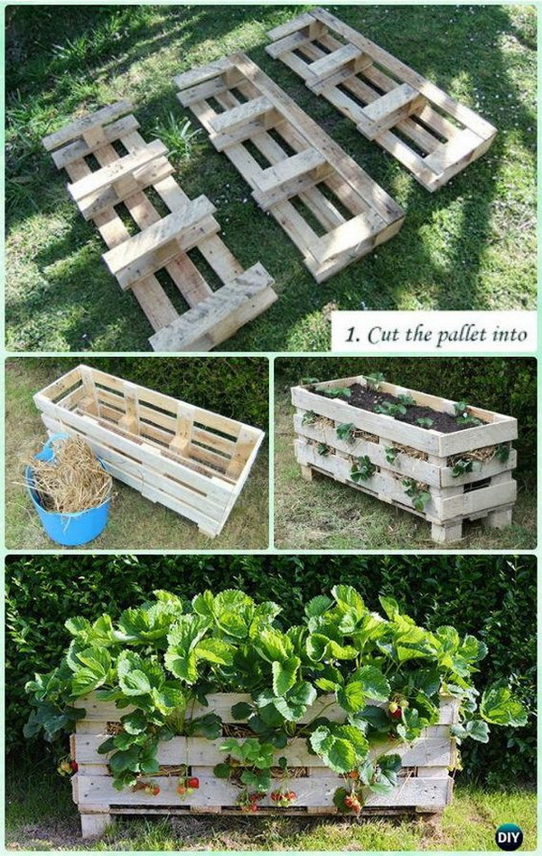 DIY Vertical Strawberry Pallet Planter. This cool vertical pallet strawberry planter are great for growing strawberries. It can stand alone and allows growing strawberries hanging outside in small spaces. 