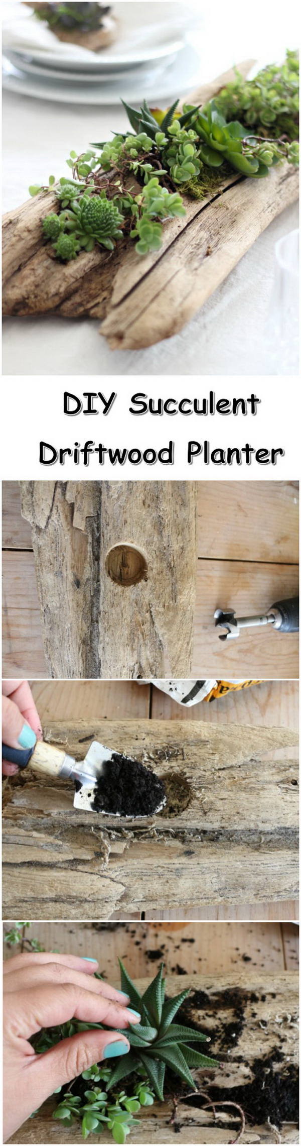 DIY Succulent Driftwood Planter. Love the rustic elegance to the space with this driftwood succulent planter. You can also utilize an old branch or piece of weathered wood to achieve a similar look. 