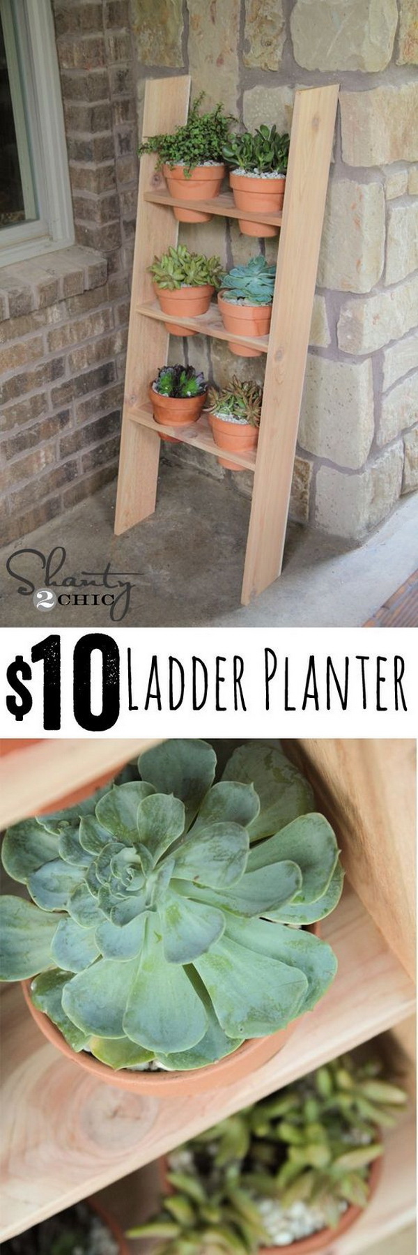 $10 Ladder Planter. A quick and easy DIY planter project that anyone can make. 