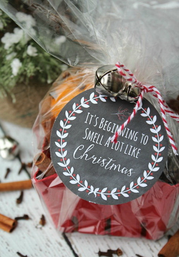 Christmas Neighbor Gift Ideas: Simmering Potpourri With Printable Tag